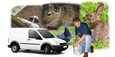 West Drayton local van